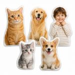 custom-shaped-pillow-s-1