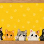 kitchen-mat-1